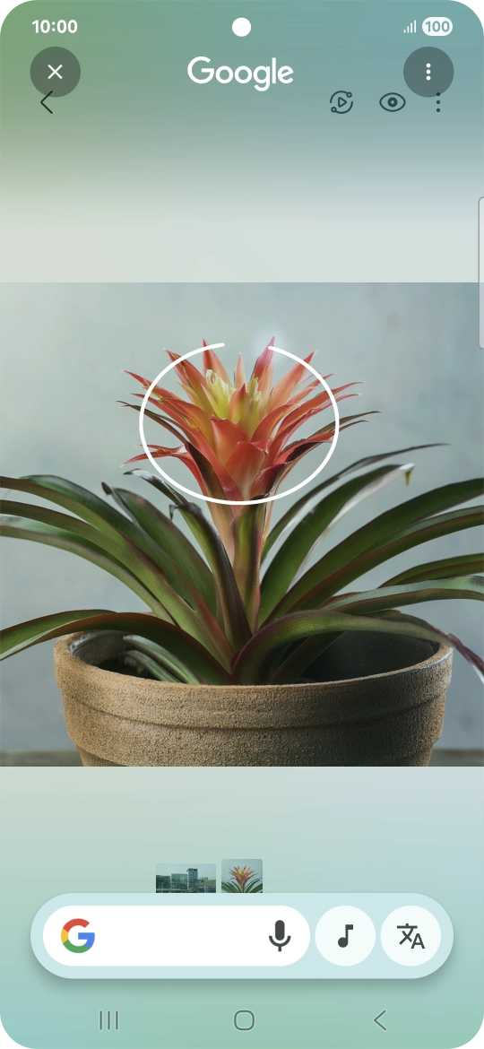 Draw a circle around the required object on the picture and wait for the search results.