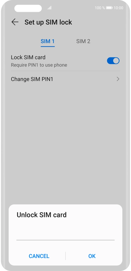 Key in your PIN and press OK. The default PIN is 1111.