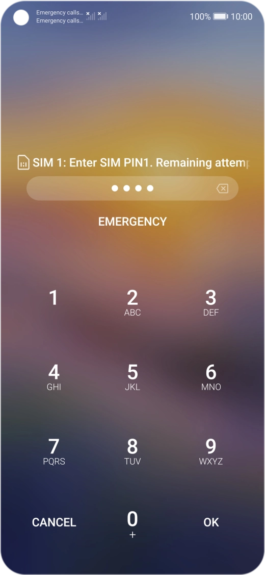 If you're asked to key in your PIN, do so and press OK. The default PIN is 1111.