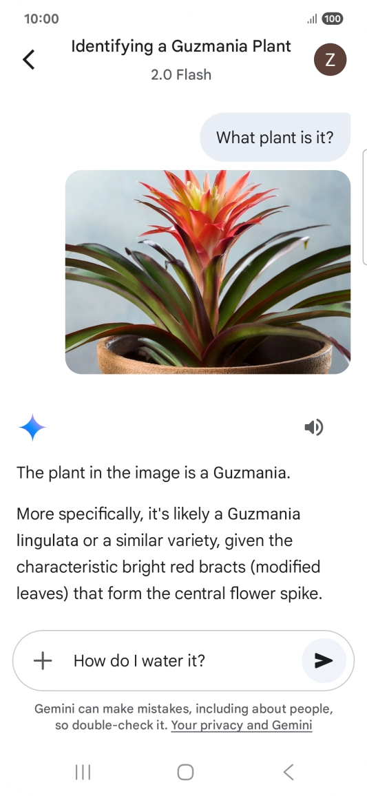 Follow the instructions on the screen to type or speak more questions to continue the conversation.