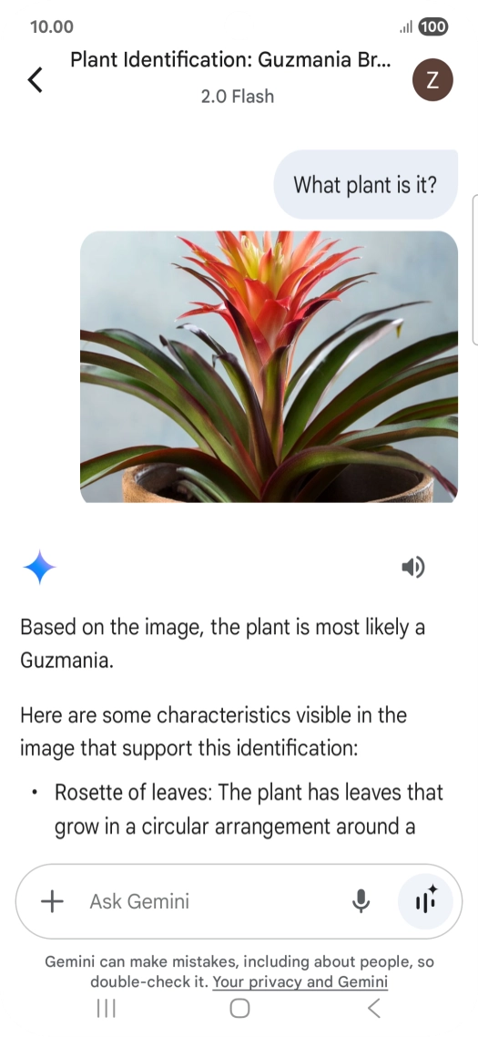 Follow the instructions on the screen to type or speak the required question. You can also attach pictures or documents and ask questions to them.