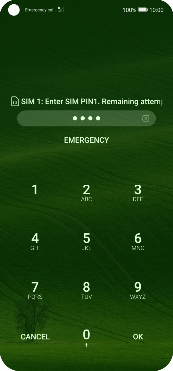If you're asked to key in your PIN, do so and press OK. The default PIN is 1111.