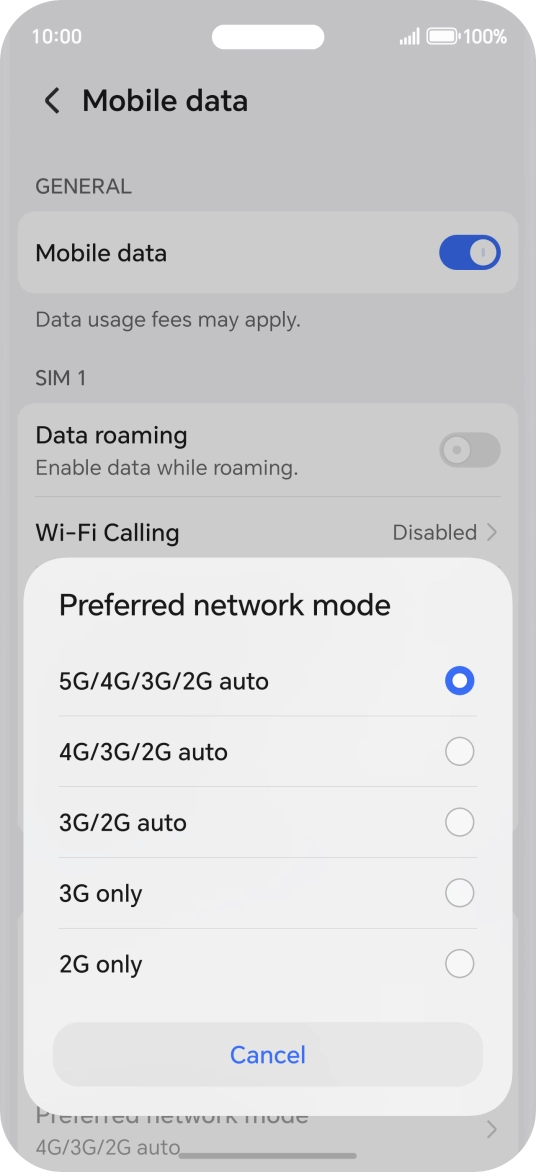 Press the required network mode.