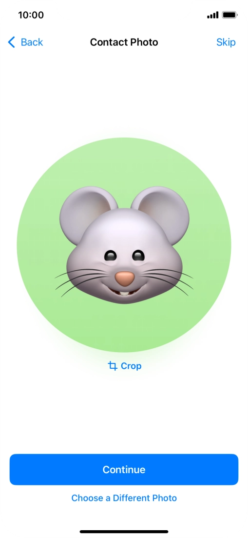 Follow the instructions on the screen to customise the selected picture and press Continue.