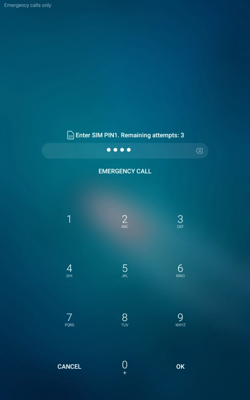 If you're asked to key in your PIN, do so and press OK. The default PIN is 1111.