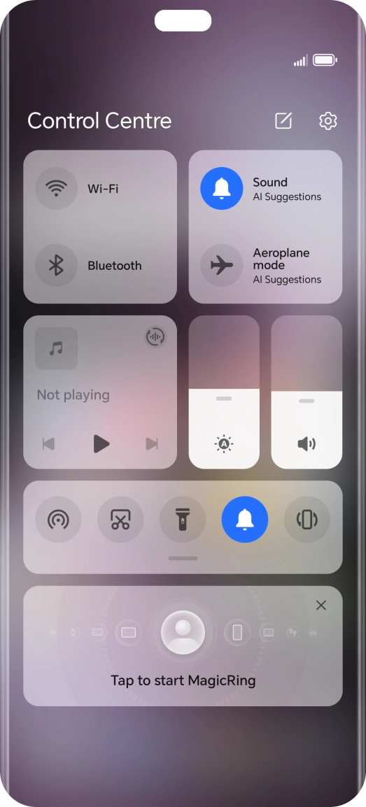 Press the sound mode icon the necessary number of times to turn silent mode on or off.