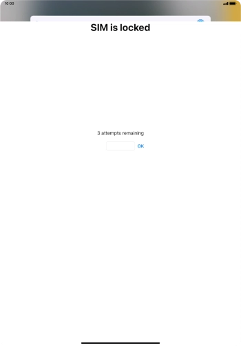 If your SIM is locked, key in your PIN and press OK. The default PIN is 1111.