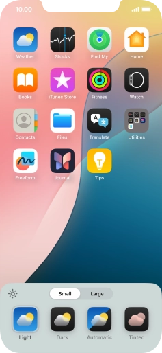 Press the required setting to select the size of app icons on the home screen.