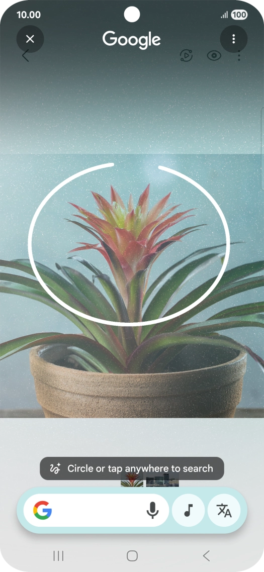 Draw a circle around the required object on the picture and wait for the search results.