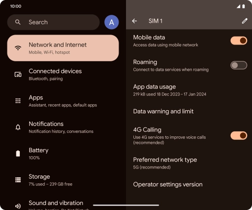 Press Preferred network type.