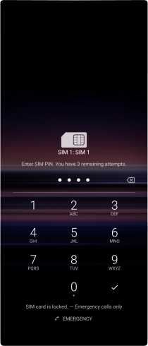 If you're asked to key in your PIN, do so and press the confirm icon. The default PIN is 1111.