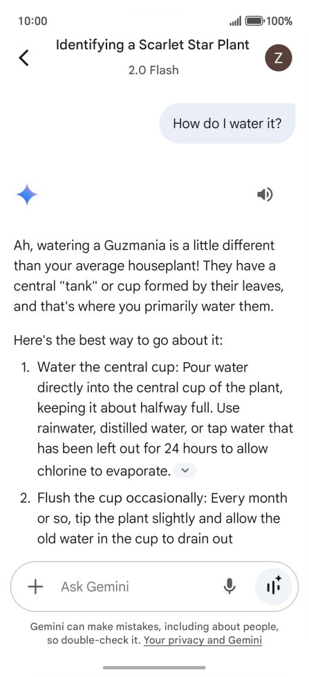 Follow the instructions on the screen to type or speak more questions to continue the conversation.