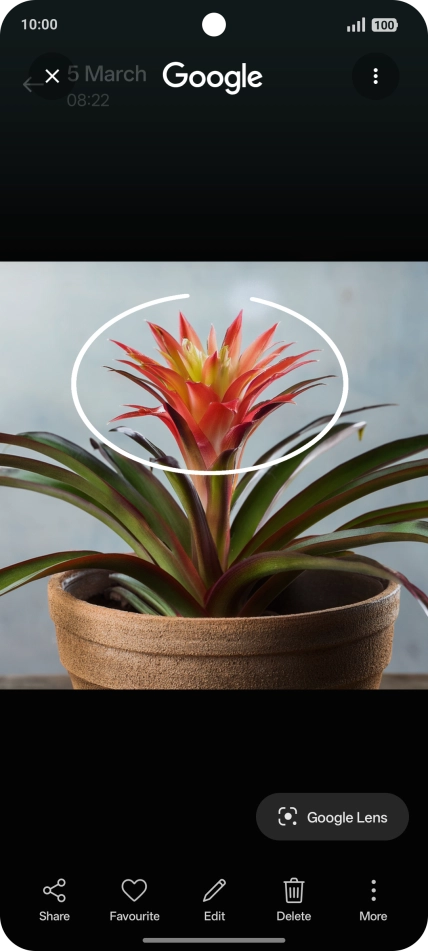 Draw a circle around the required object on the picture and wait for the search results.