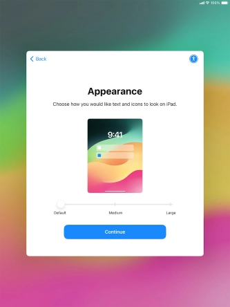 Select the required text and icon size on your tablet and press Continue.