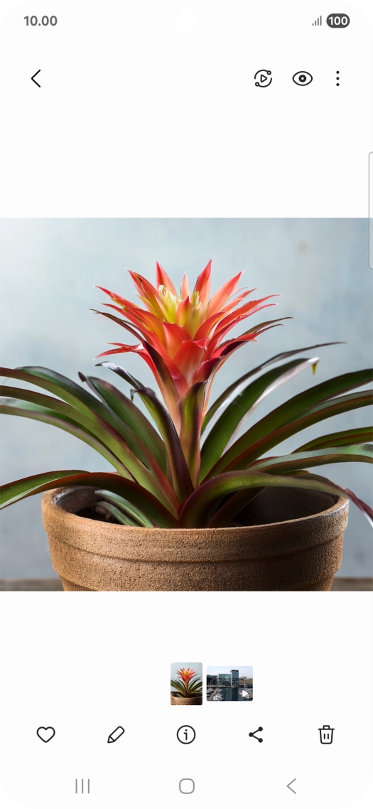 Go to the required picture.