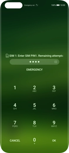If you're asked to key in your PIN, do so and press OK. The default PIN is 1111.