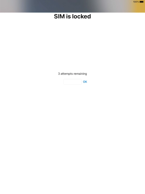If your SIM is locked, key in your PIN and press OK. The default PIN is 1111.