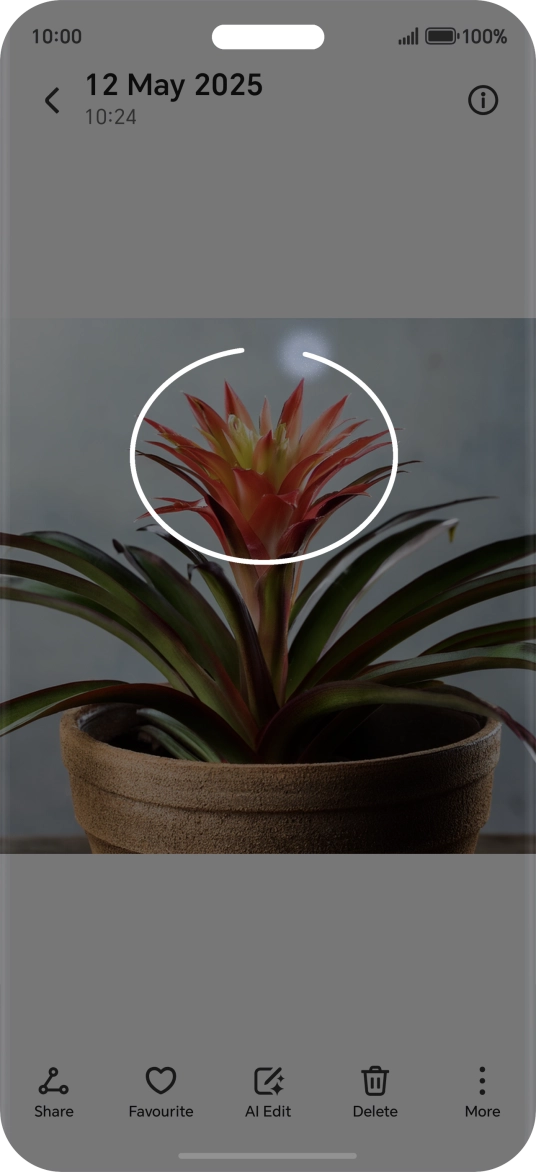 Draw a circle around the required object on the picture using your knuckle.