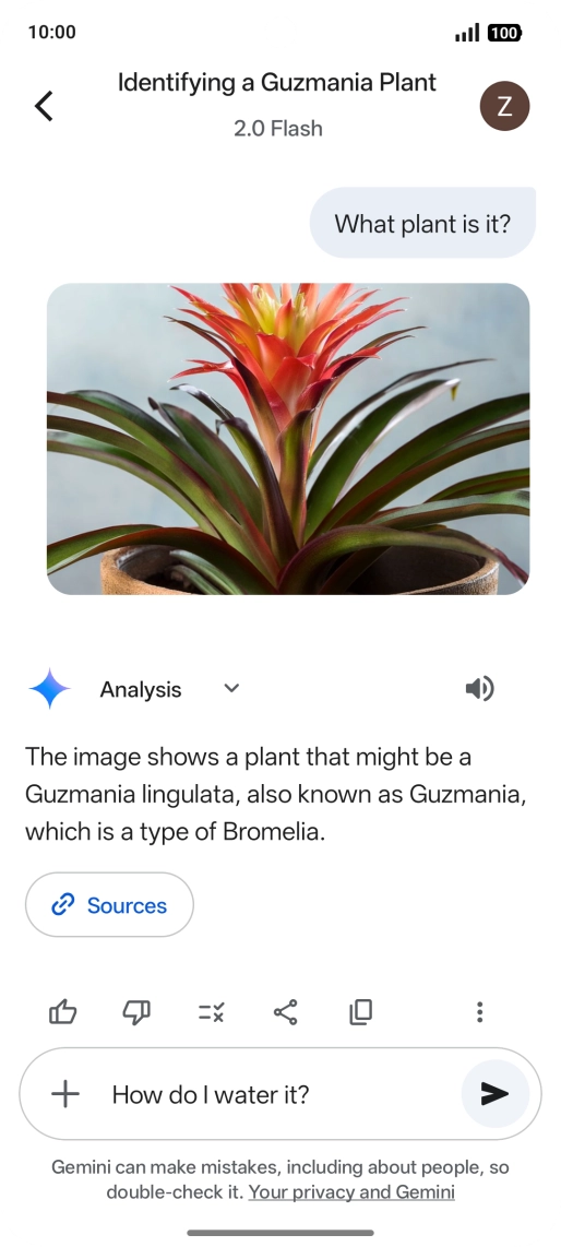 Follow the instructions on the screen to type or speak more questions to continue the conversation.
