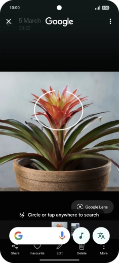 Draw a circle around the required object on the picture and wait for the search results.