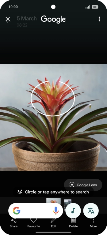 Draw a circle around the required object on the picture and wait for the search results.