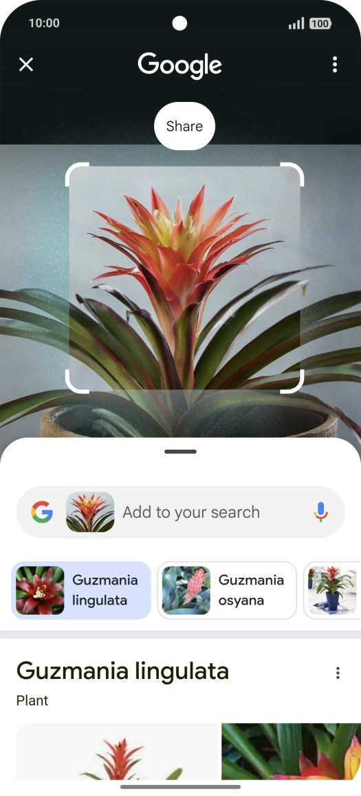 Follow the instructions on the screen to use the search results.