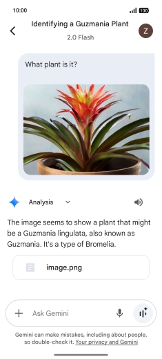 Follow the instructions on the screen to type or speak the required question. You can also attach pictures or documents and ask questions to them.