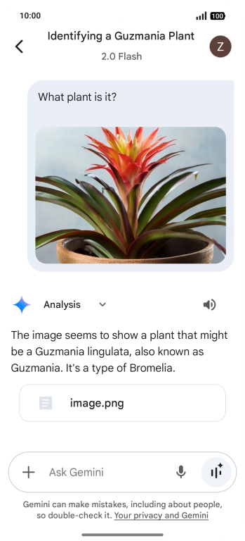 Follow the instructions on the screen to type or speak the required question. You can also attach pictures or documents and ask questions to them.