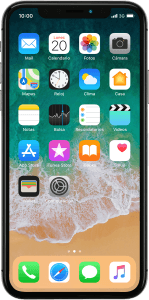 Apple iPhone X