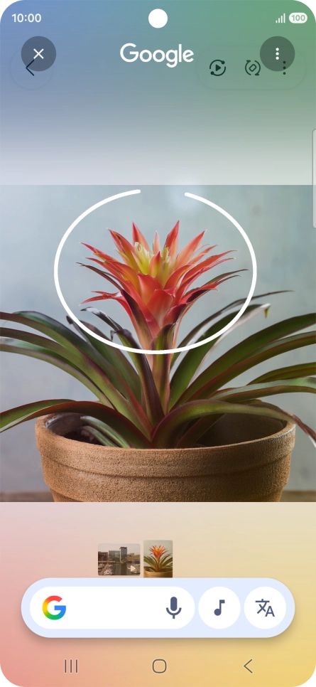 Draw a circle around the required object on the picture and wait for the search results.