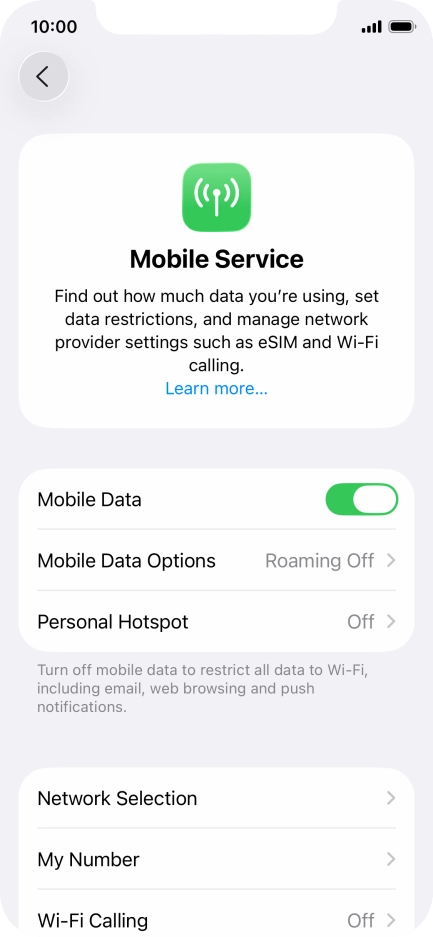 Press Mobile Data Options.