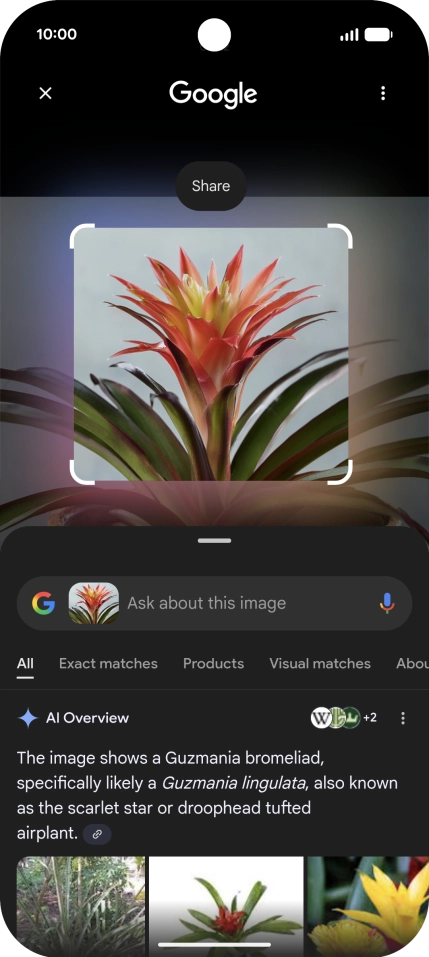 Follow the instructions on the screen to use the search results.