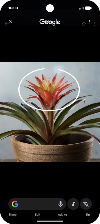 Draw a circle around the required object on the picture and wait for the search results.