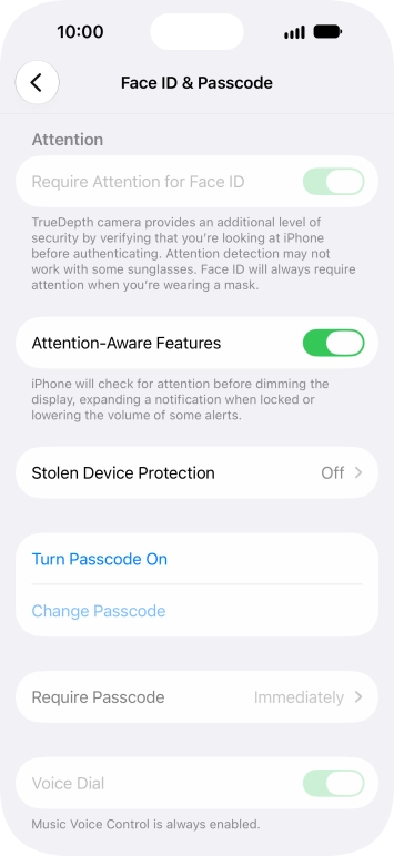 Press Turn Passcode On and key in a phone lock code of your own choice twice.