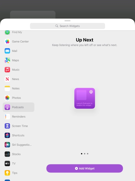 Slide your finger right or left on the screen to select the required widget size.