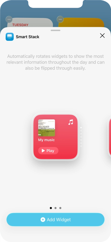 Slide your finger right or left on the screen to select the required widget size.