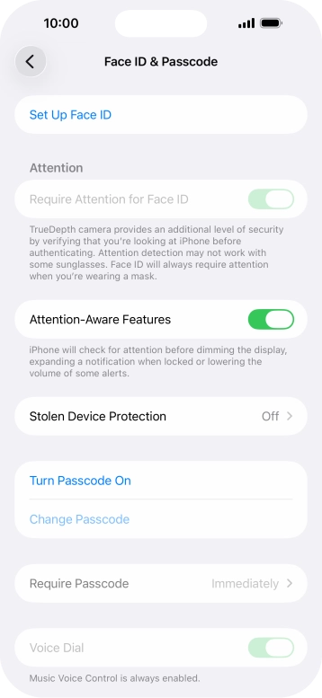 Press Turn Passcode On and key in a phone lock code of your own choice twice.