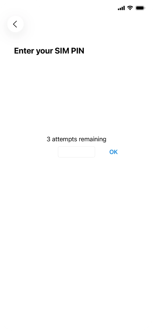 If your SIM is locked, key in your PIN and press OK. The default PIN is 1111.