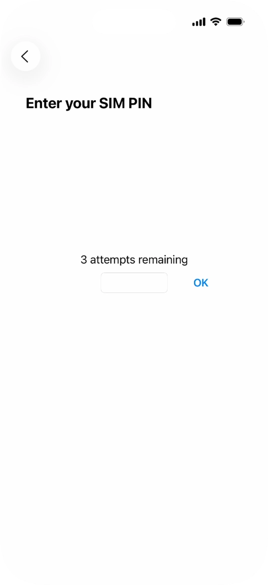 If your SIM is locked, key in your PIN and press OK. The default PIN is 1111.