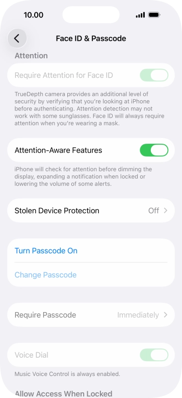 Press Turn Passcode On and key in a phone lock code of your own choice twice.