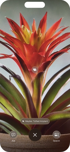 For information about animals and plants, press the information field.