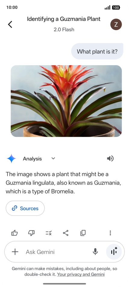 Follow the instructions on the screen to type or speak the required question. You can also attach pictures or documents and ask questions to them.