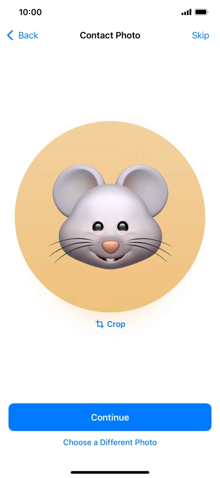 Follow the instructions on the screen to customise the selected picture and press Continue.