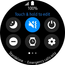 Press the suppression of calls and notifications icon.