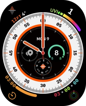Press and hold the Digital Crown to turn on Siri.