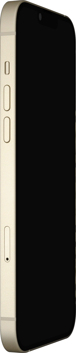 Insert the opener into the small hole in the SIM holder.