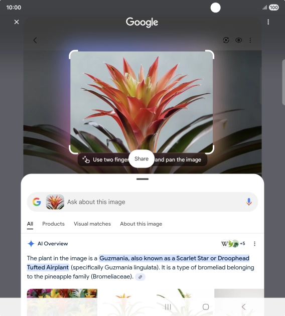 Follow the instructions on the screen to use the search results.