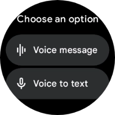 Press Voice to text.