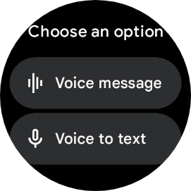 Press Voice to text.