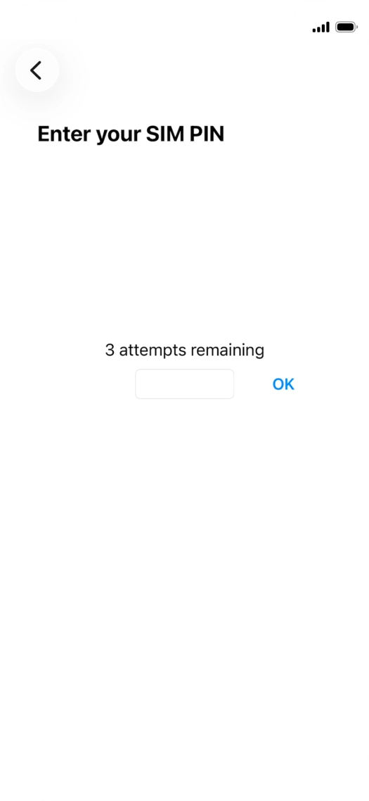If your SIM is locked, key in your PIN and press OK. The default PIN is 1111.